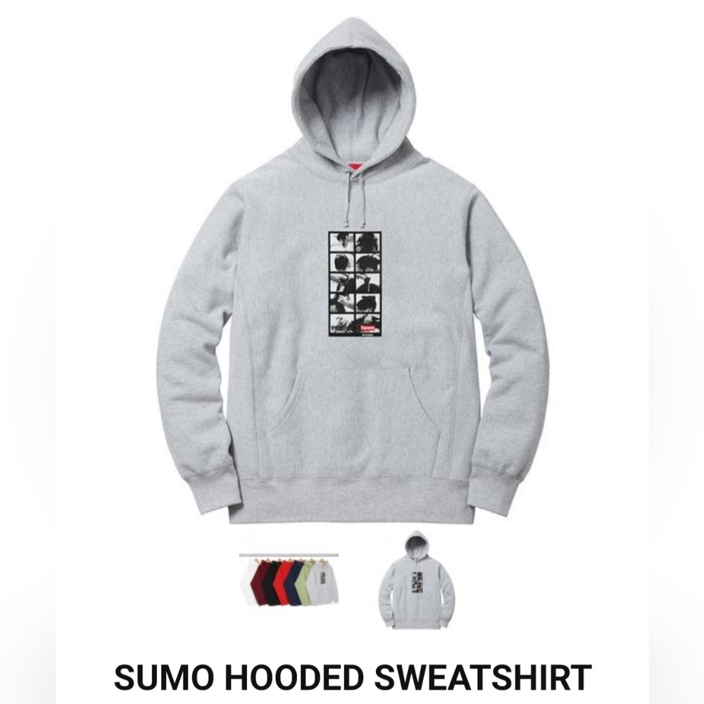 Supreme Sumo Hooded Sweatshirt *FW16*